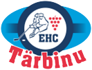 Logo EHC Tärbinu